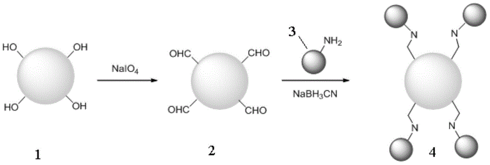 Immobilized enzyme taking bacterial cellulose as carrier and preparation method of immobilized enzyme