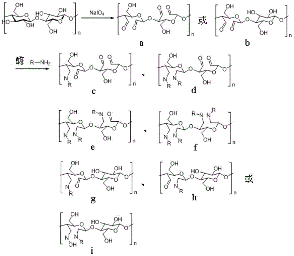 Immobilized enzyme taking bacterial cellulose as carrier and preparation method of immobilized enzyme