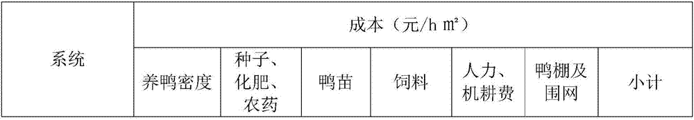 Rice and duck symbiotic breeding method