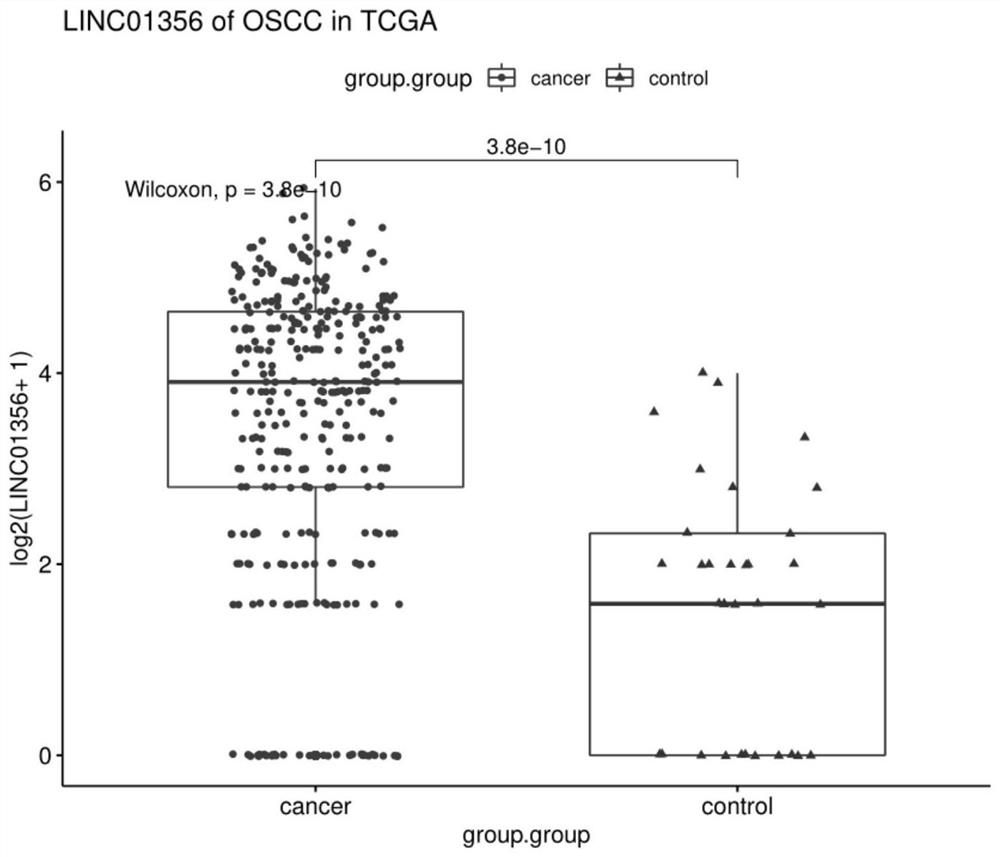 Application of long non-coding RNA in diagnosis and treatment of tongue squamous carcinoma