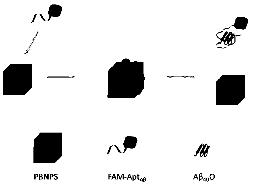 Fluorescent aptamer probe based on Prussian blue nanoparticles as well as preparation method and application of fluorescent aptamer probe