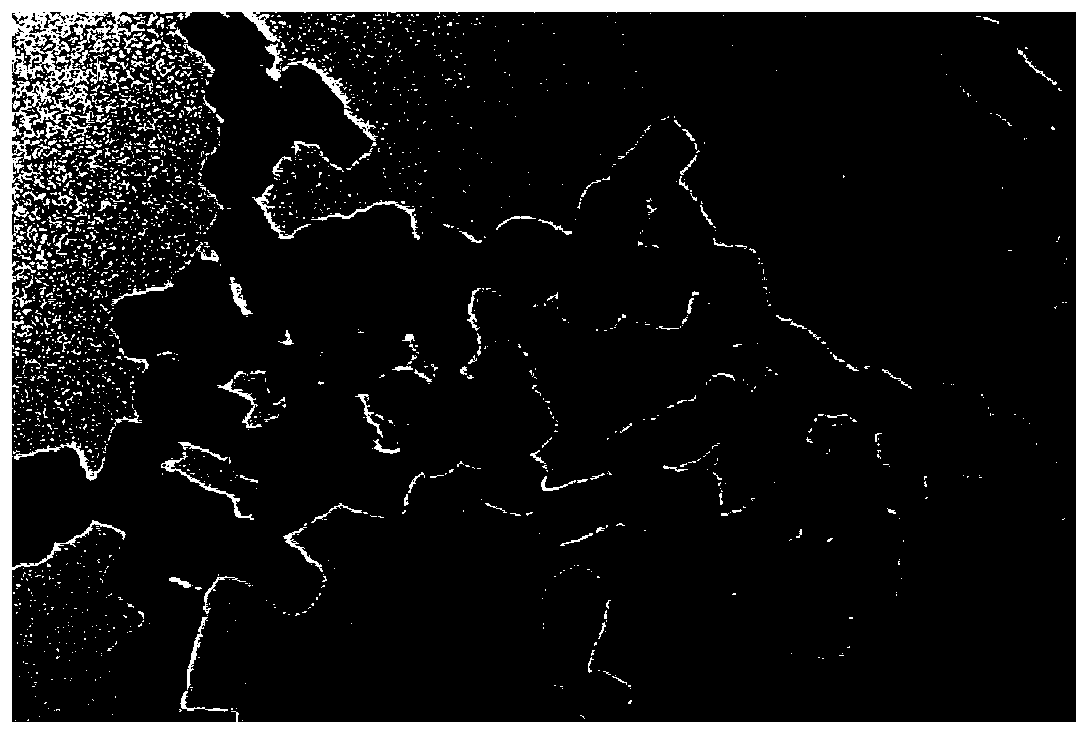 Fluorescent aptamer probe based on Prussian blue nanoparticles as well as preparation method and application of fluorescent aptamer probe