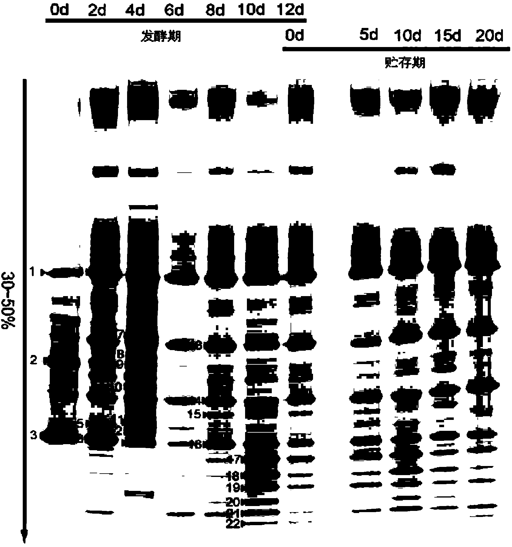 Method for extracting total microbial DNA from strong-flavor yeasts