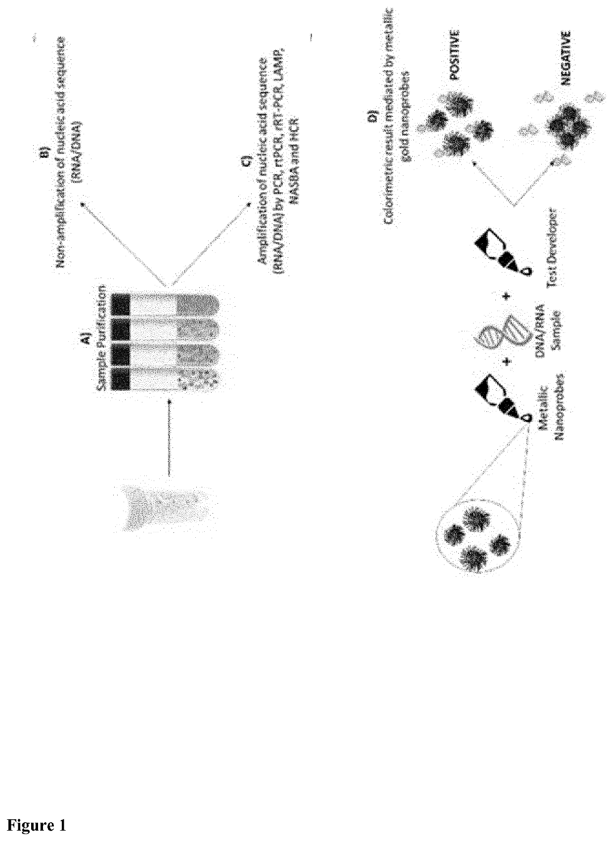 Method for detecting flaviviridae