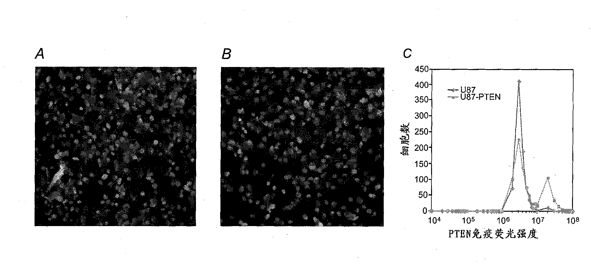 Microfluidic imaging cytometry