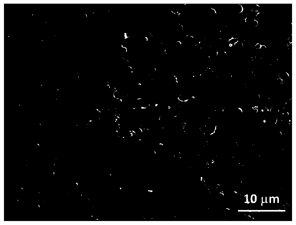 Degradable microspheres simultaneously loaded with anti-cancer drug and active factor and provided with micro-nano structure, as well as preparation method and application of degradable microspheres