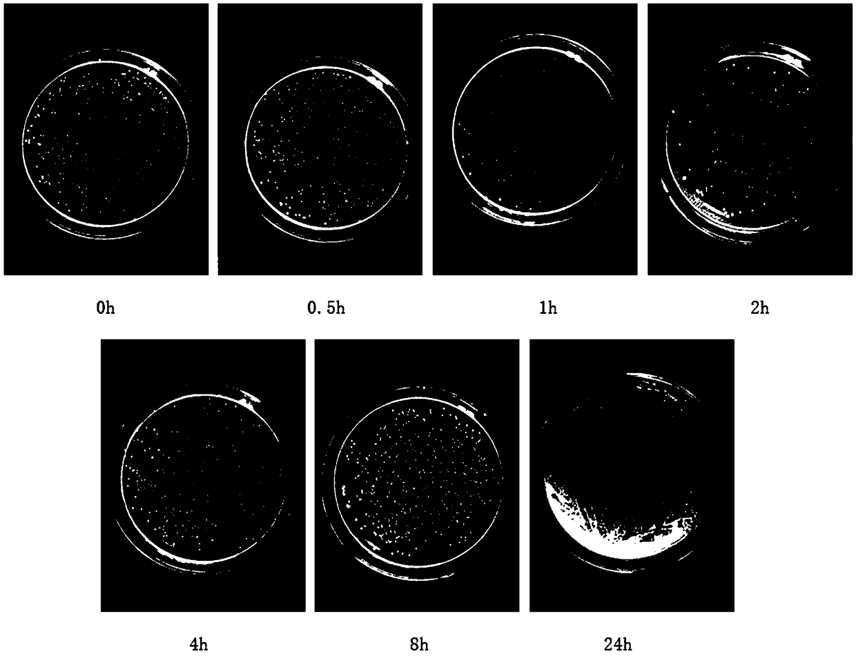 Marine biological peptide acne-removing and repairing mask and preparation method thereof