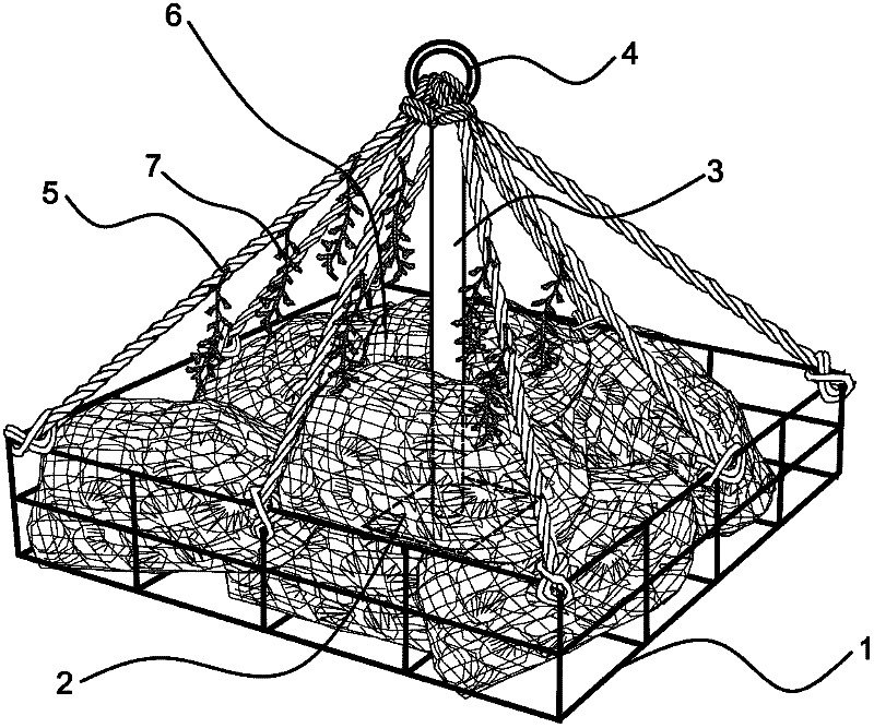 Seedling inserting rope-shell combined artificial algal reef