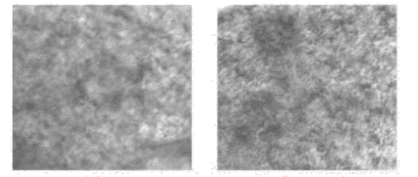 Compositions and methods for treating aspergillosis