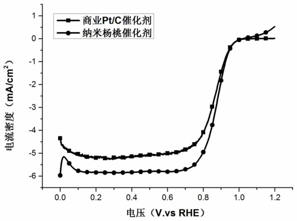 A kind of nano carambola-shaped oxygen reduction electrocatalyst and its preparation method and application