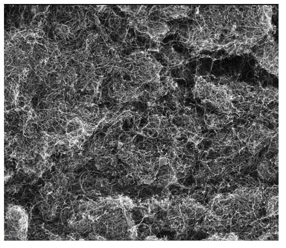 Preparation method of high-modulus low-heat carbon nano tube/ rubber composite material