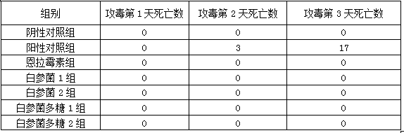 Application of fungal plant in preventing and treating chicken necrotic enteritis