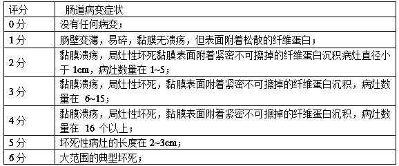 Application of fungal plant in preventing and treating chicken necrotic enteritis