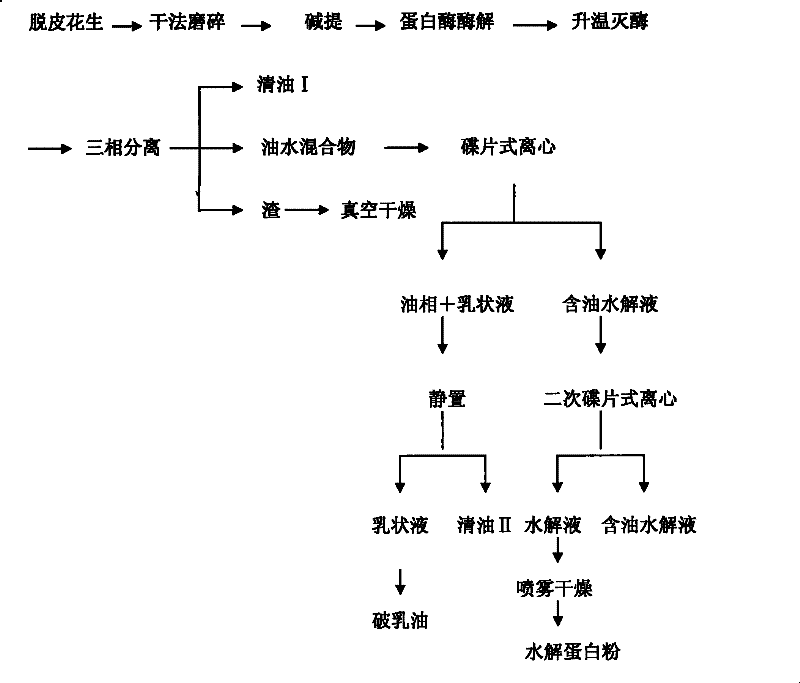 Medium test method for extracting oil and protolysate from peanut with water-enzyme method