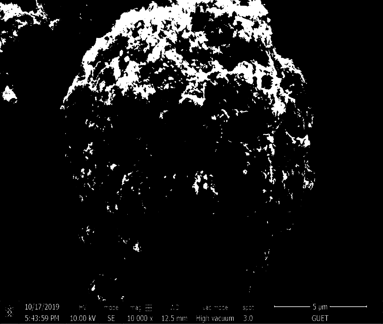 Yeast cell-based Ni-Co-S loaded porous carbon material as well as preparation method and application thereof