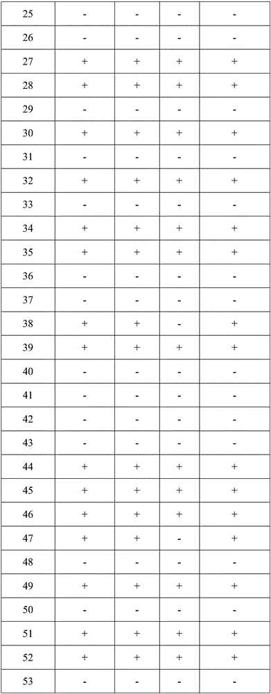 Molecular detection kit for klebsiella pneumoniae causing hepatic abscess and application thereof