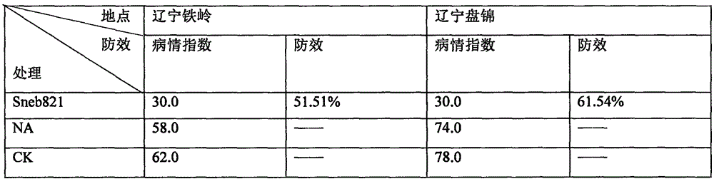 Novel bacteria strain and culture method and application thereof