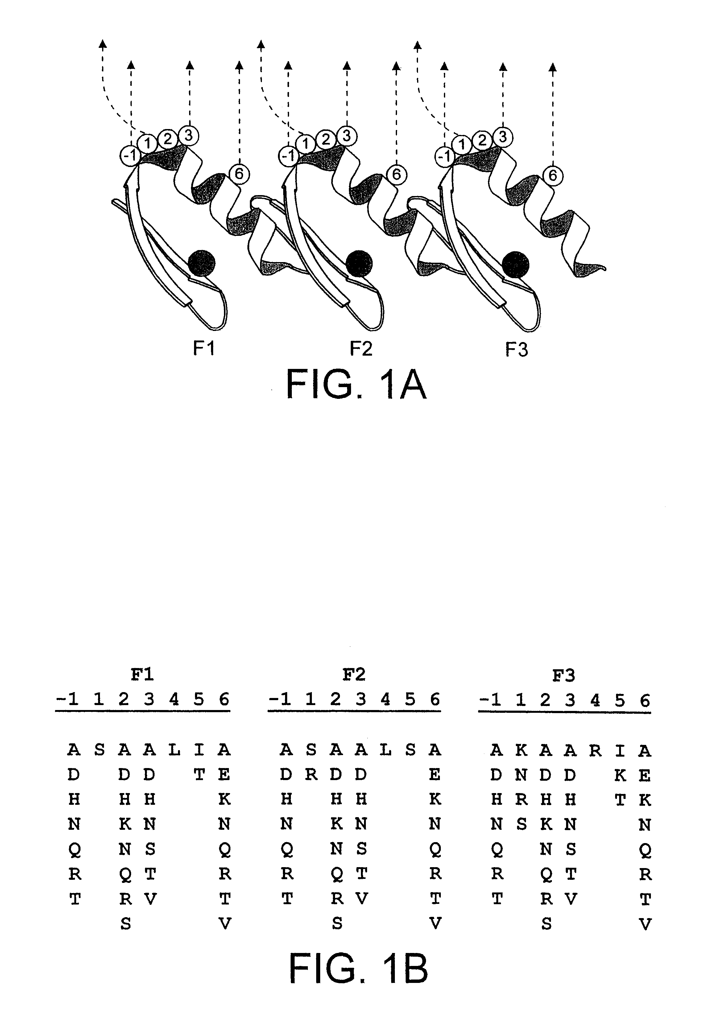 Zinc finger polypeptides capable of binding DNA quadruplexes