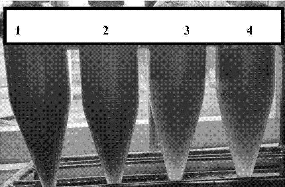 Reverse-phase demulsifying agent for treating polymer flooding produced liquid of oil fields and preparation method thereof