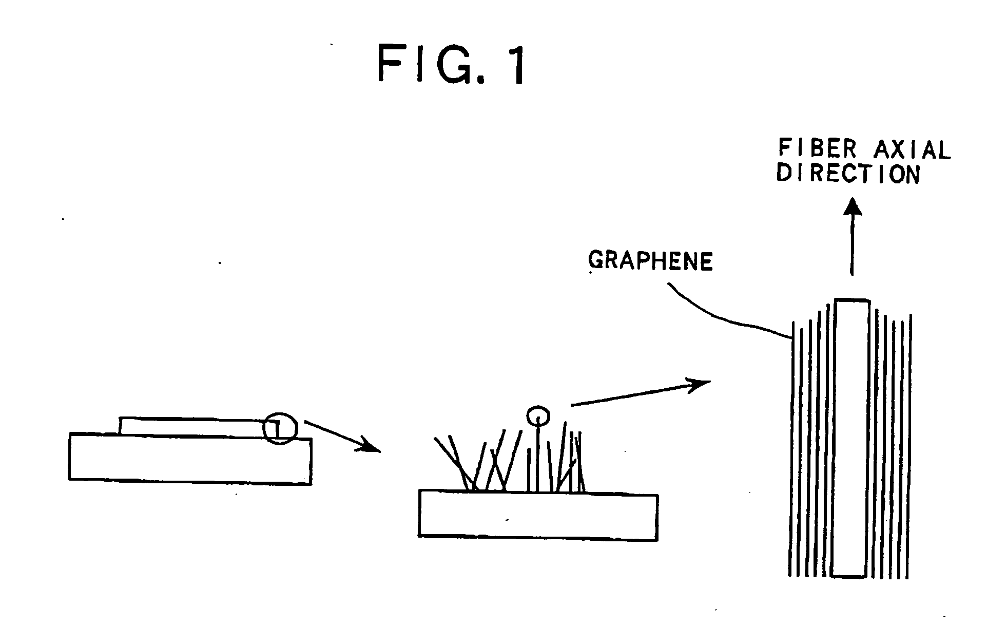 Electron emitting device using carbon fiber; electron source; image display device; method of manufacturing the electron emitting device; method of manufacturing electron source using the electron emitting device; and method of manufacturing image display device