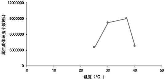 Physcomitrella patens protoplast and preparation method thereof