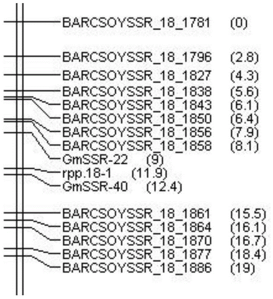 A Molecular Marker gmssr18-40 Closely Linked to the Soybean Rust Resistance Gene Locus and Its Application