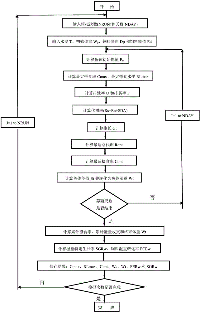 Dynamic quantitative feeding method for brachymystax lenok breeding