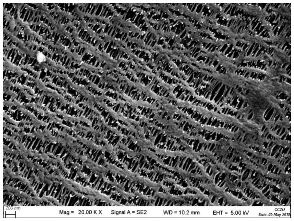 A kind of preparation method of pp/pa66 composite battery diaphragm