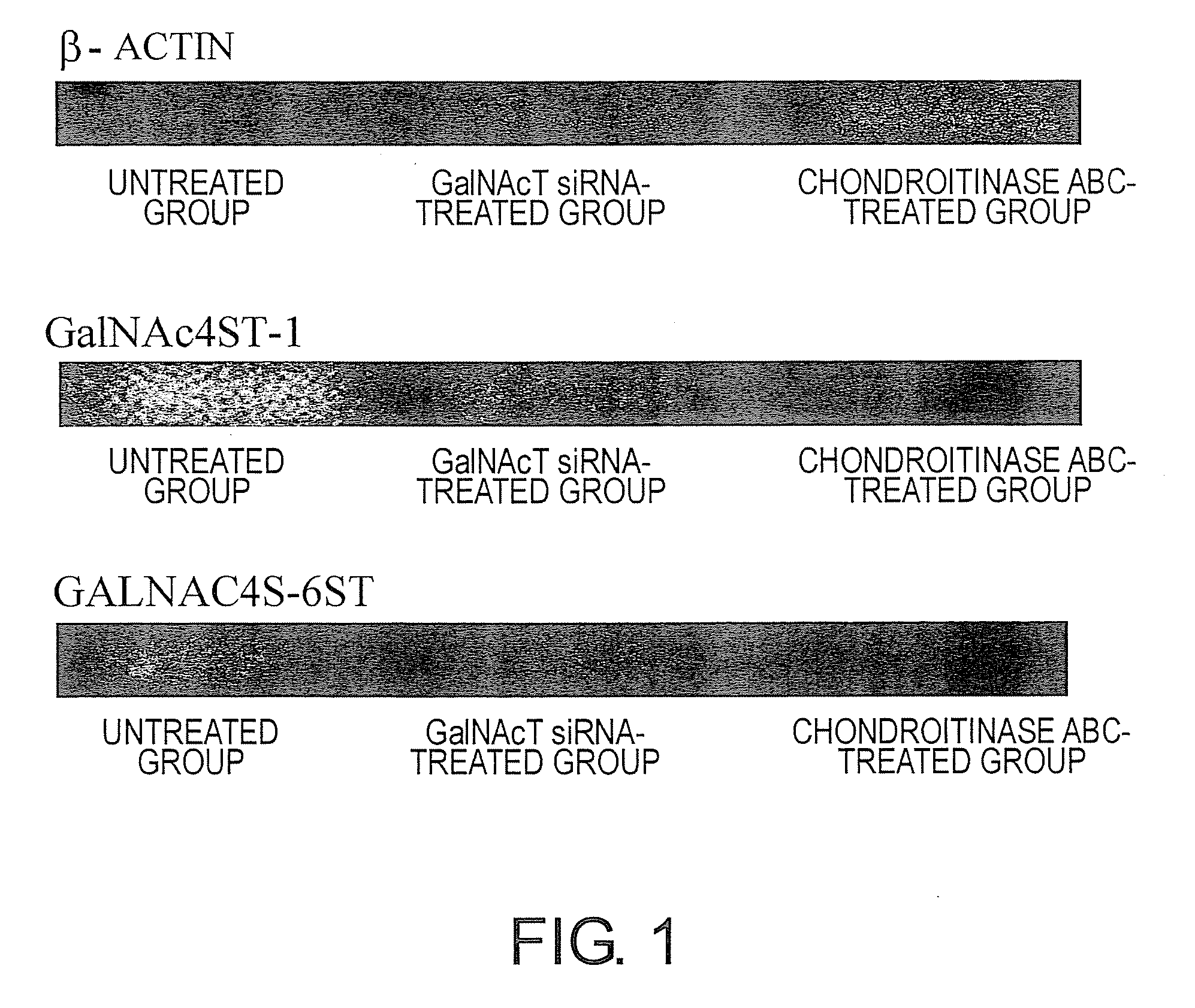 Agents for suppressing neural fibrotic degeneration