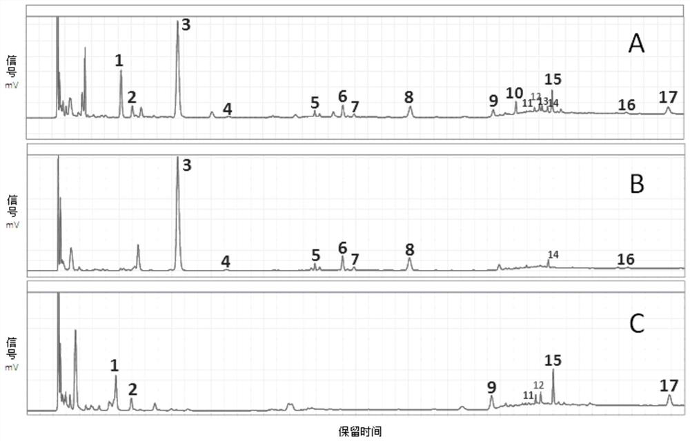 Detection method for specific chromatogram of medicinal preparation and application thereof