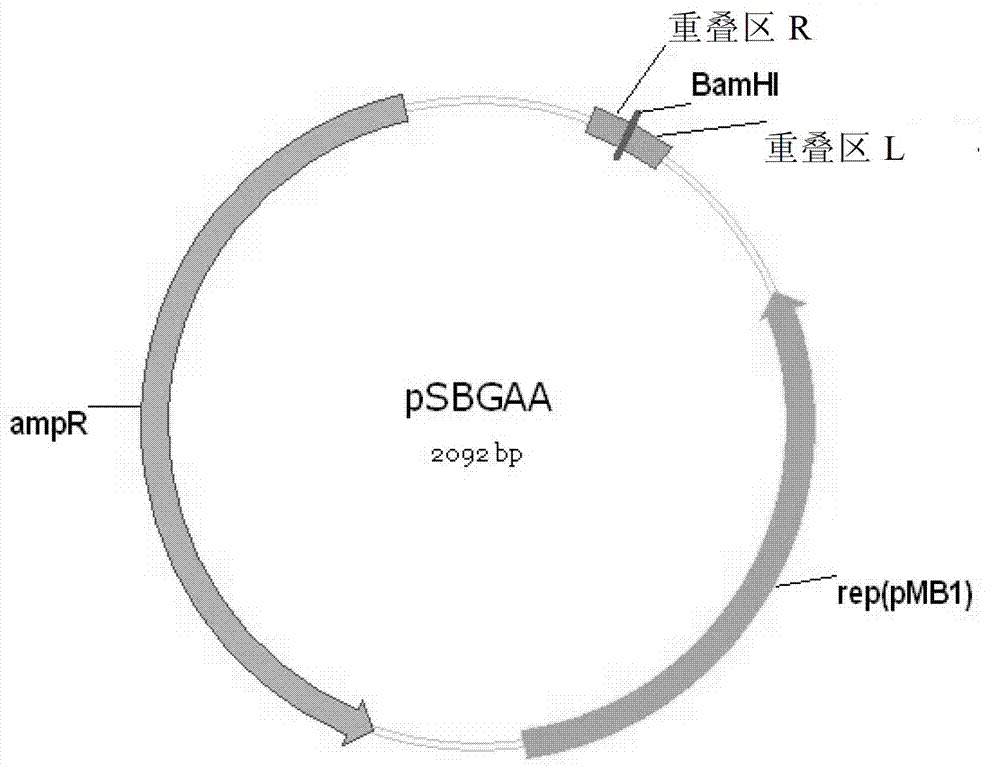 Gibson assembly carrier, preparation method therefor and applications thereof