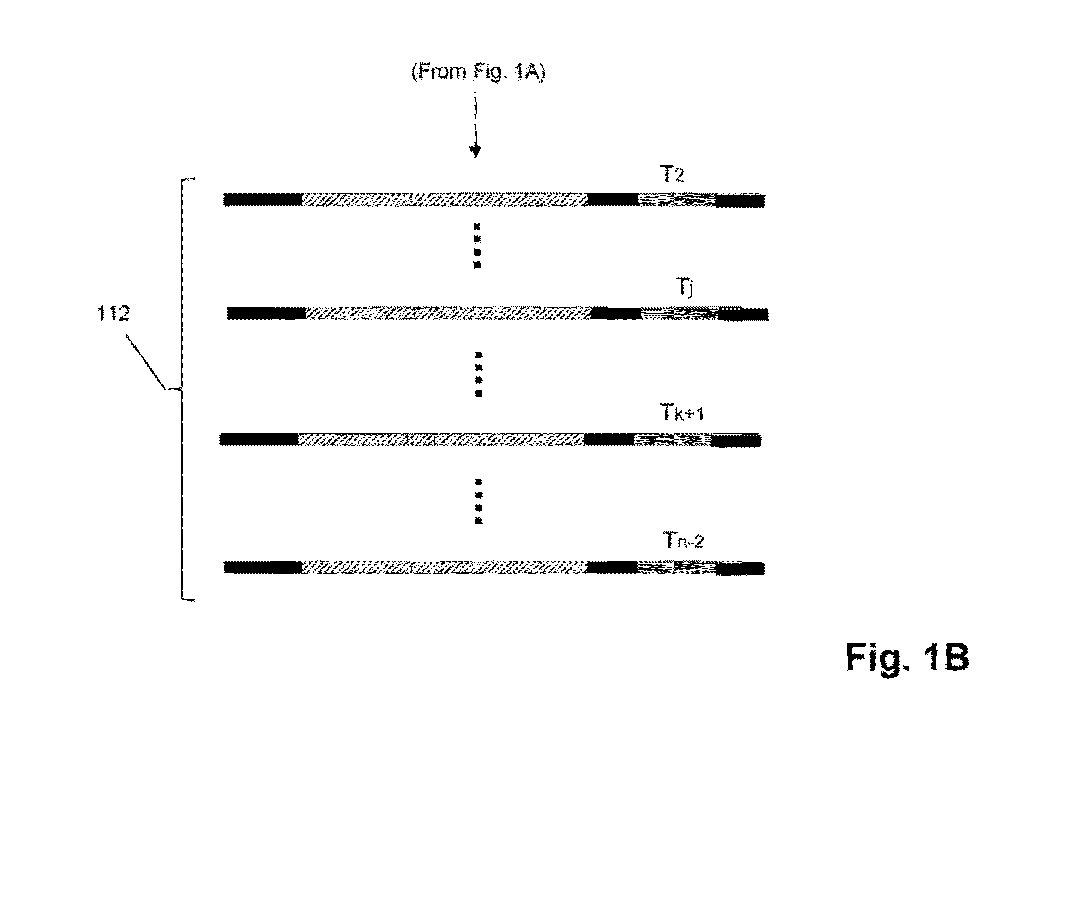 Mosaic tags for labeling templates in large-scale amplifications