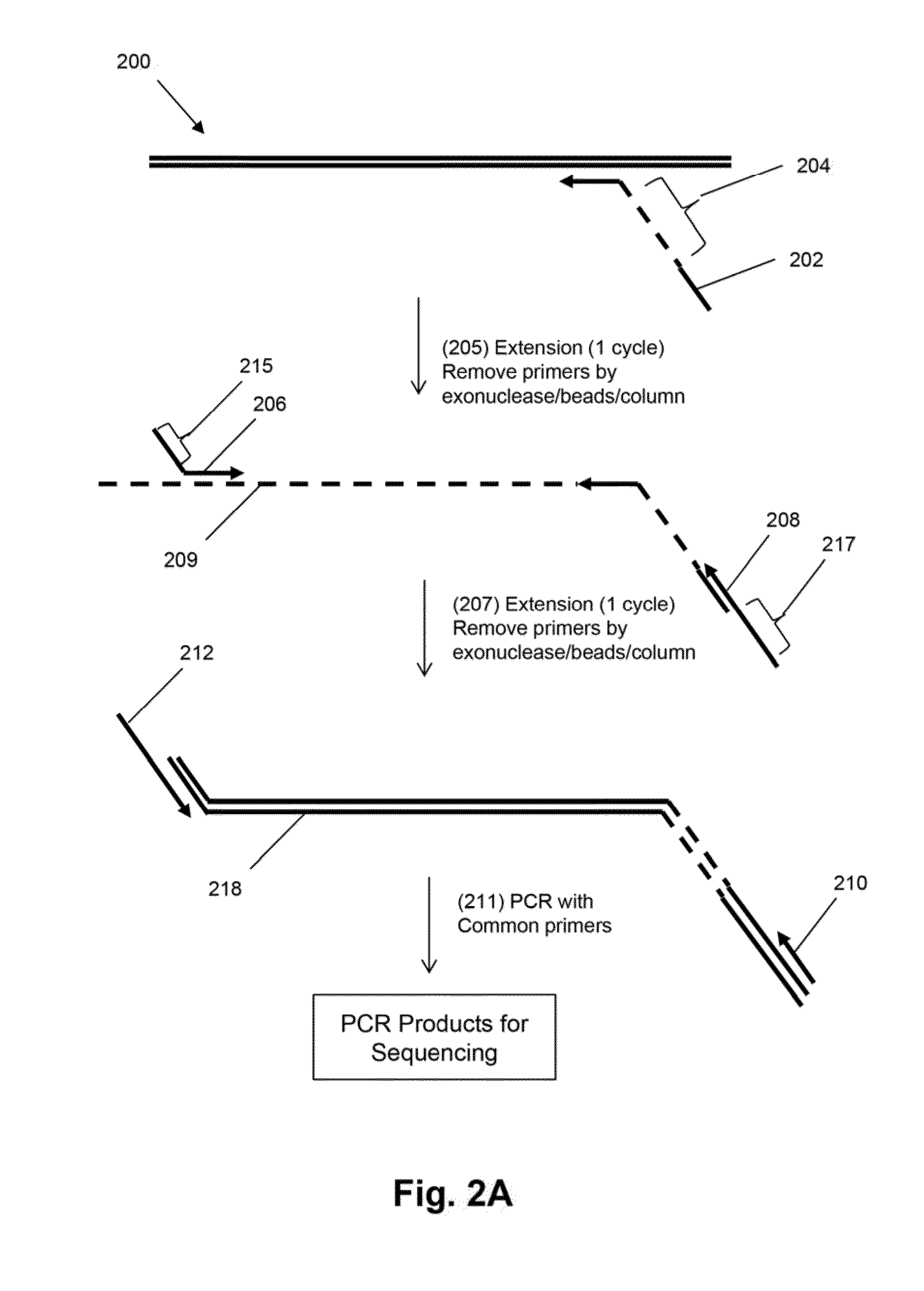 Mosaic tags for labeling templates in large-scale amplifications