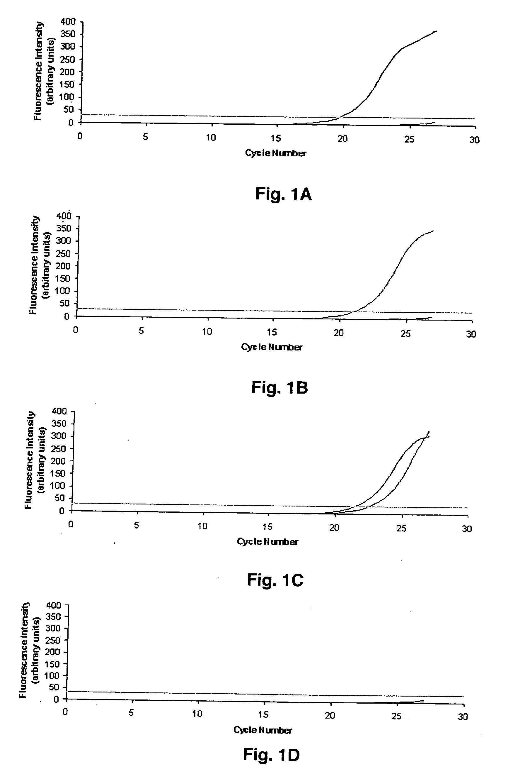 Real-time polymerase chain reaction-based genotyping assay for single nucleotide polymorphism