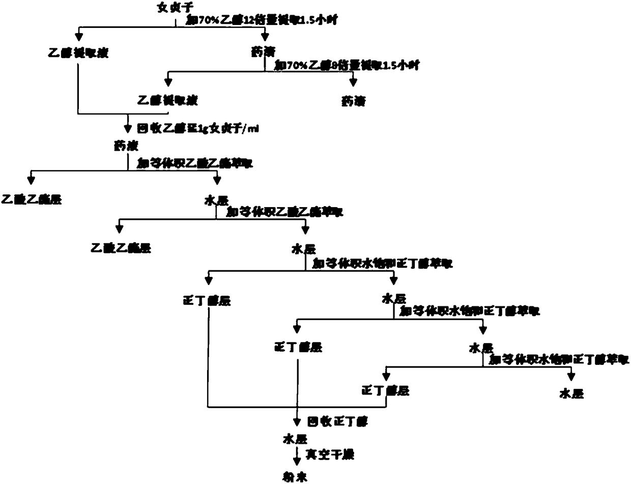 Ligustrum lucidum glycoside concentrate and application thereof