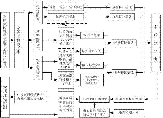 Automatic recognizing method and device for nitrogen phosphorus and potassium stress of protected tomatoes