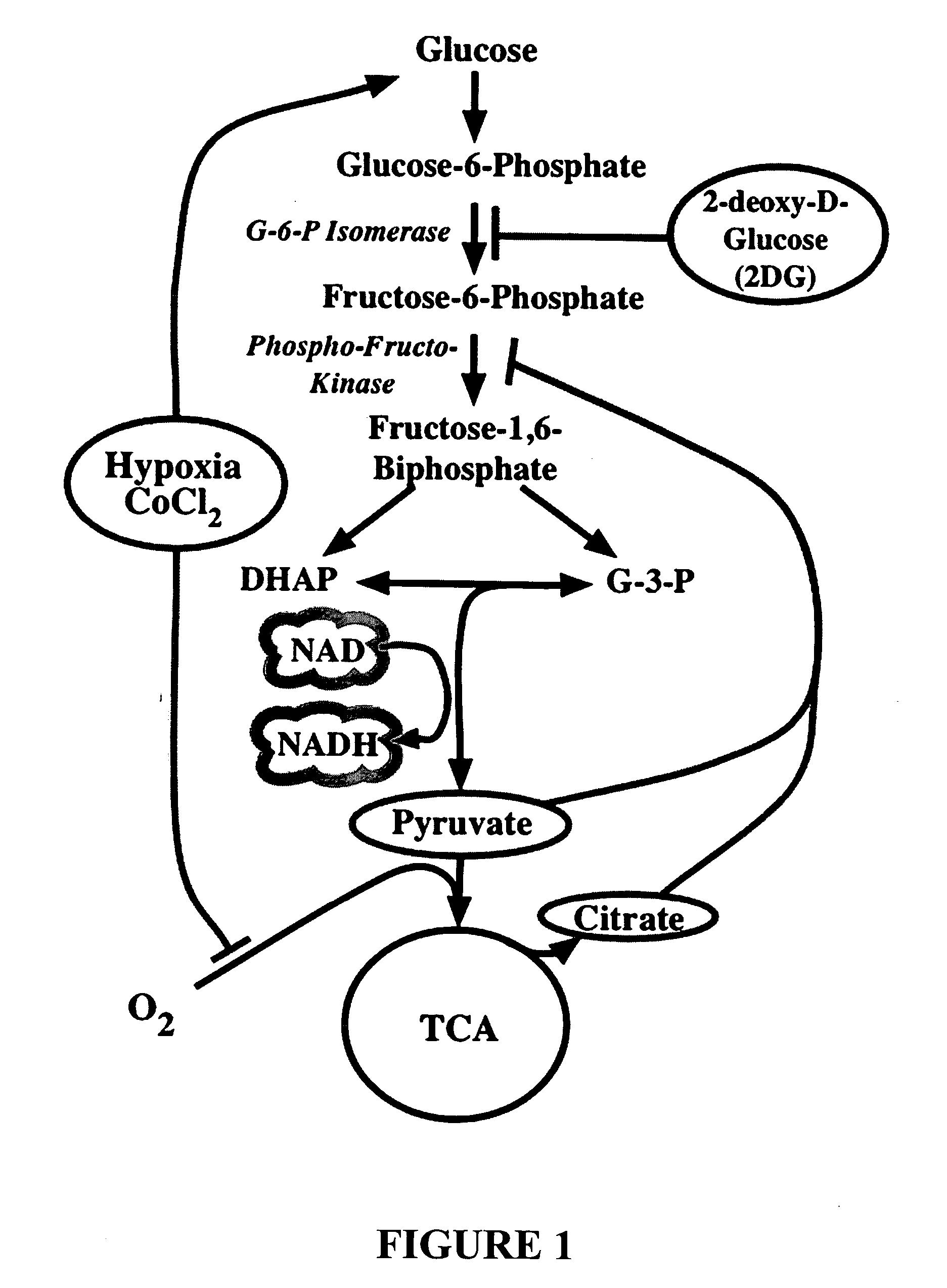 Metabolic-based methods for modulating gene expression