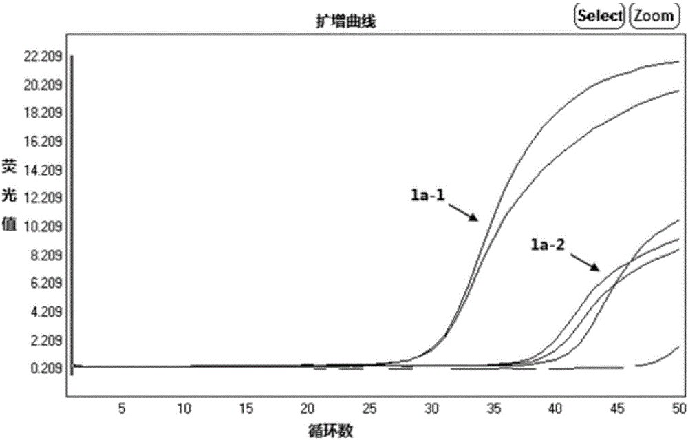 Quantitative detection kit for human immunodeficiency virus HIV-1