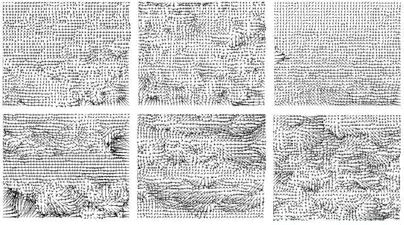 Method for restoring and resimulating physical video fluid driving model