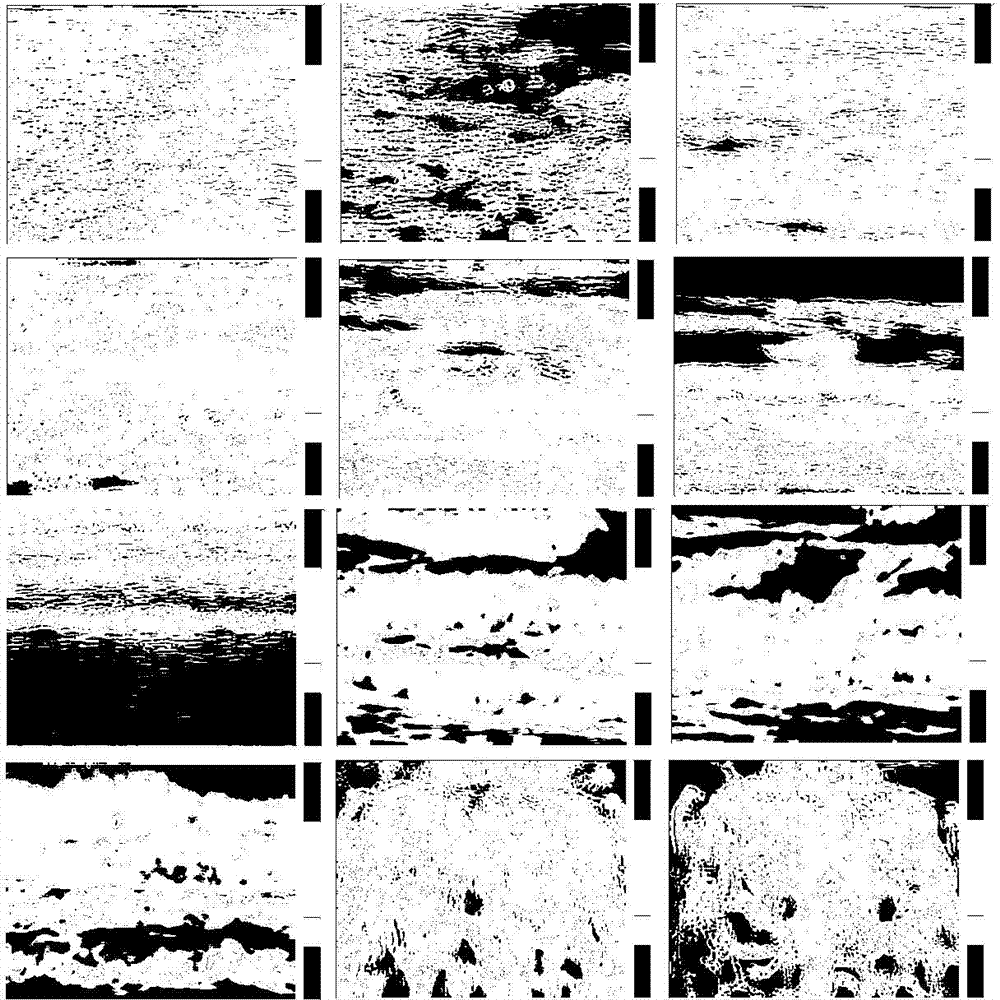 Method for restoring and resimulating physical video fluid driving model