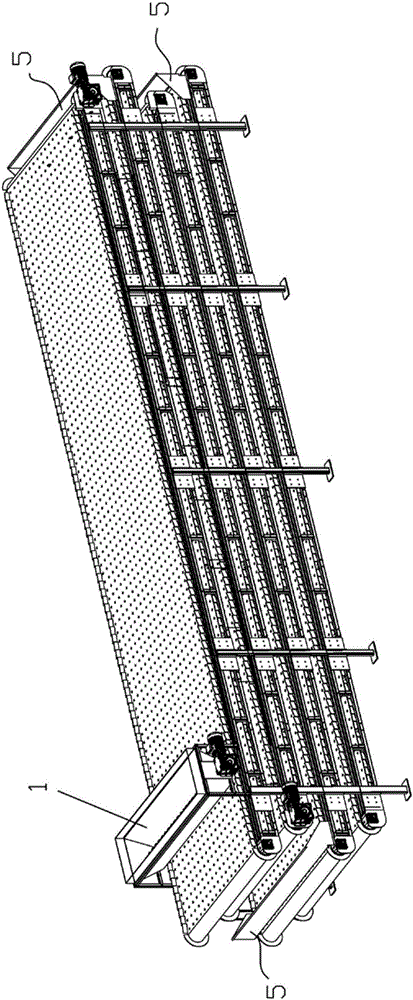 Animal manure automatic drying equipment