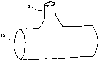 Aortic-arch-with-branch covered stent blood vessel combined device