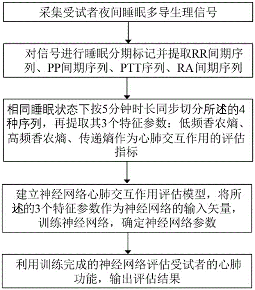 Quantitative cardiopulmonary system interaction analysis method