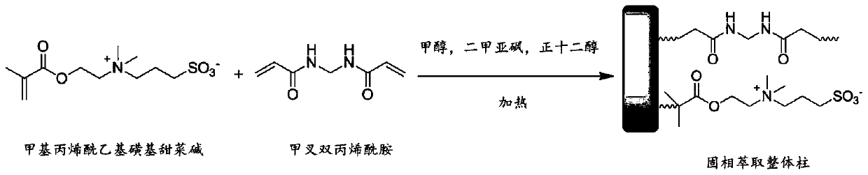 Polymer monolithic column, solid phase extraction filter based on said monolithic column, preparation method and application thereof