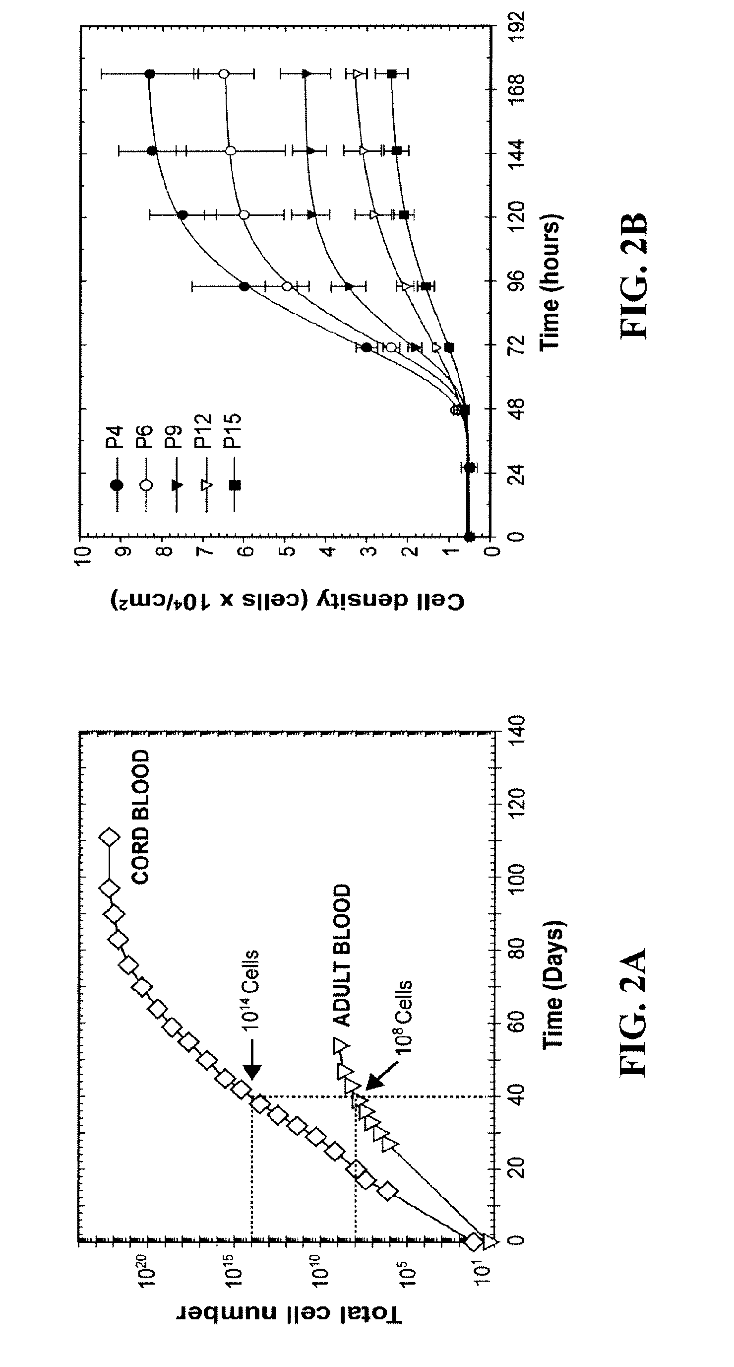 Methods for promoting neovascularization