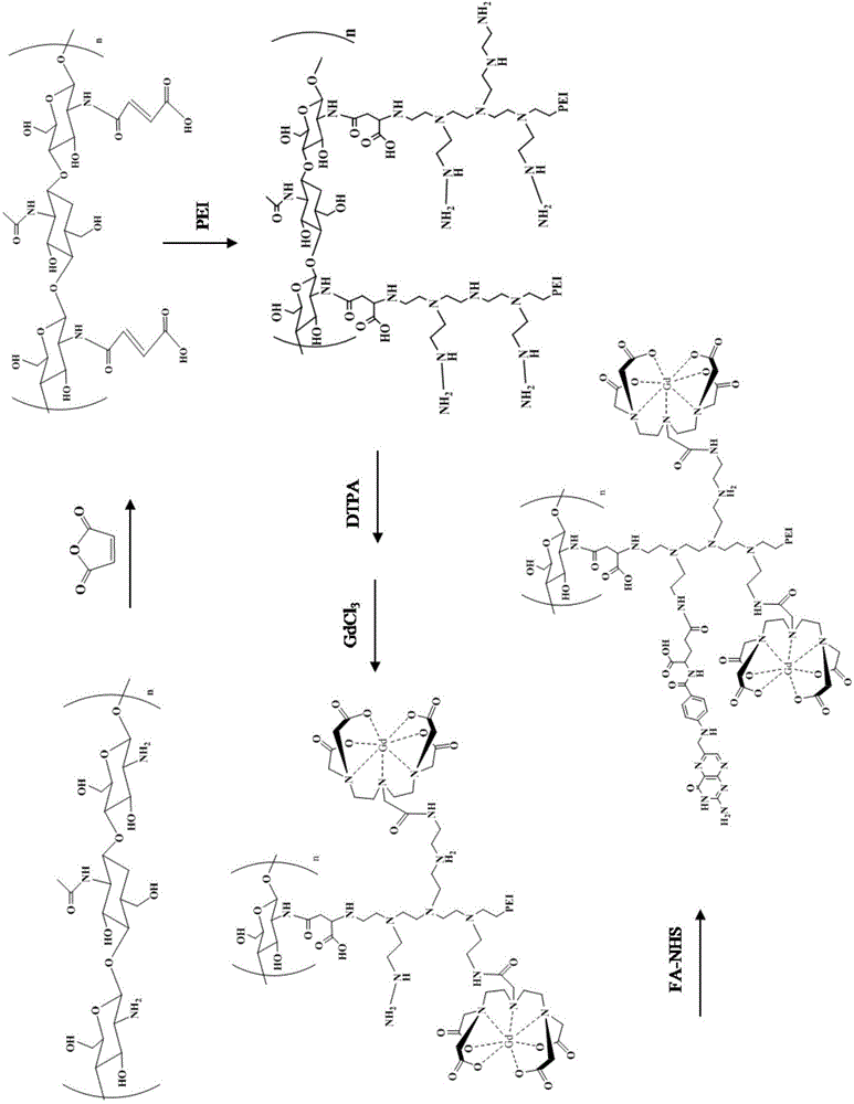 Chitosan-based MRI contrast medium and preparation method