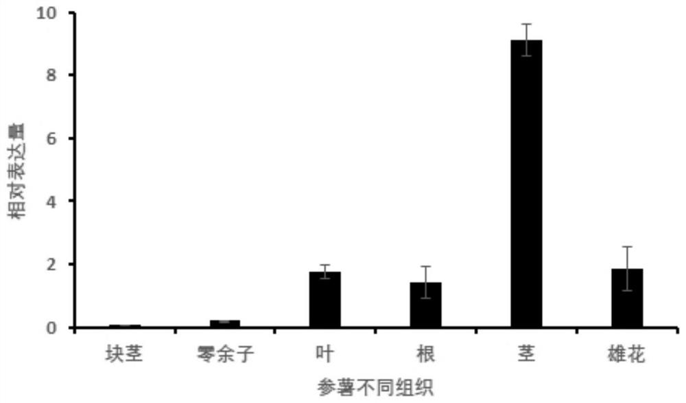 Metallothionein DaMT3a and application of coding gene thereof