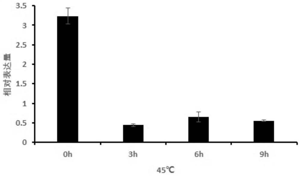 Metallothionein DaMT3a and application of coding gene thereof