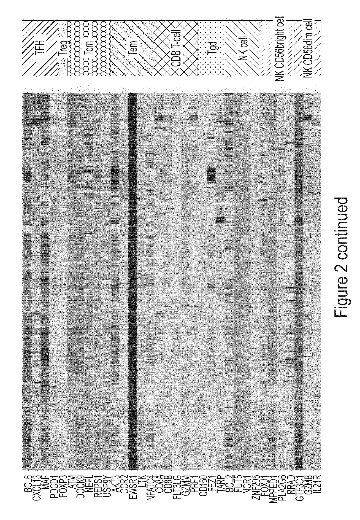 Immune cell signatures