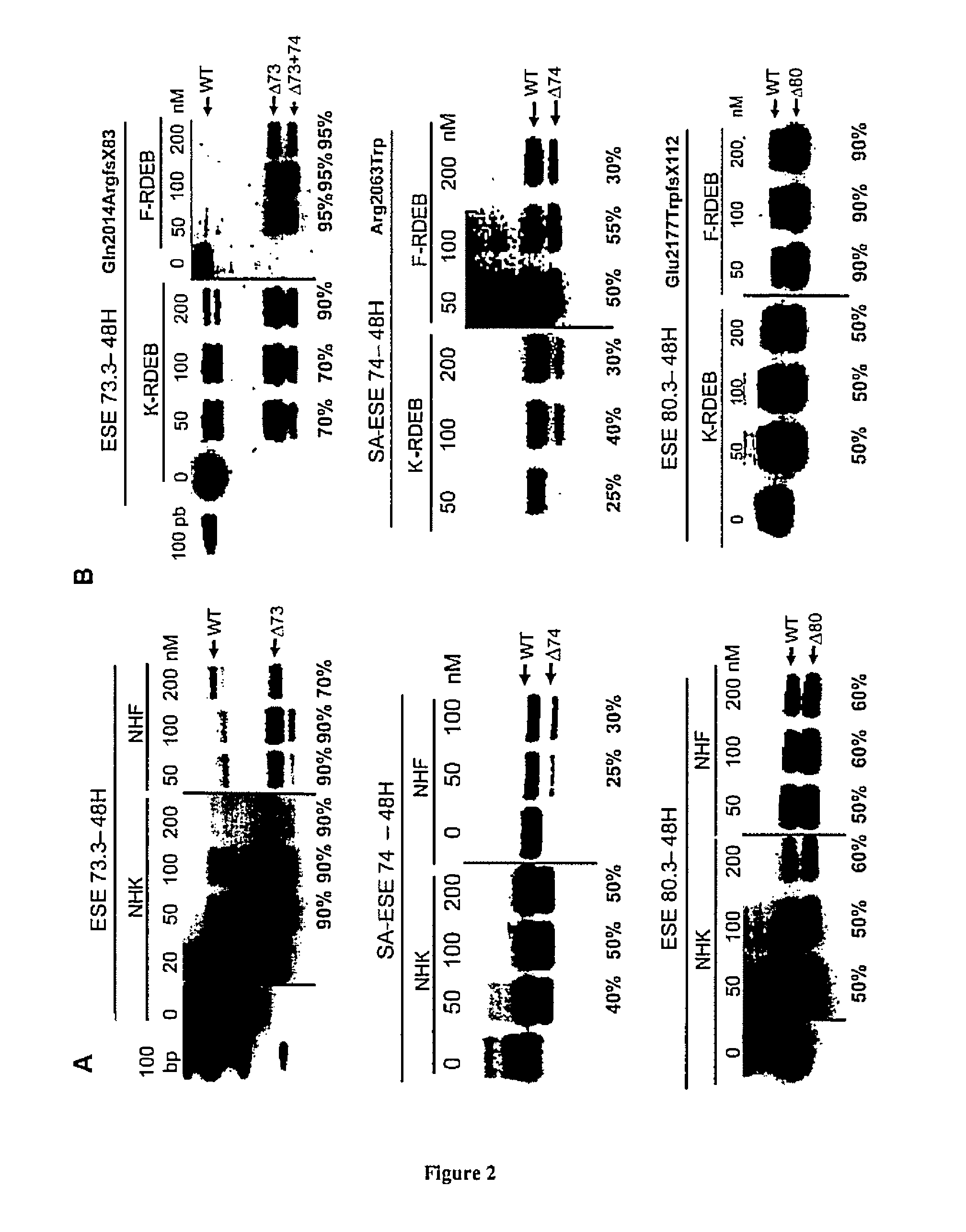 Exon skipping therapy for dystrophic epidermolysis bullosa